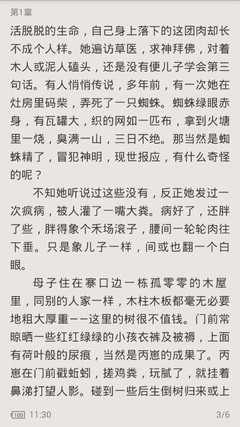 菲律宾民房租房 民房公寓价格怎样